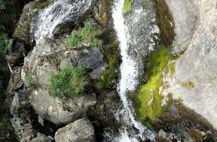 五一假期， 积石山半价邀你探秘大墩峡