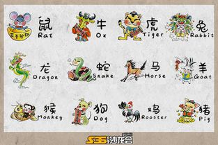 今天转运必备骚操作