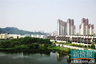 广州金沙洲风水怎样,广州金沙洲风水怎样