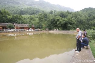农村大门后面有鱼池风水,房子后门有鱼塘好吗
