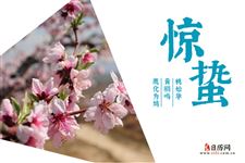 惯与“惊”字的理解