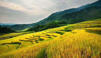 塔城地区十大景点大盘点