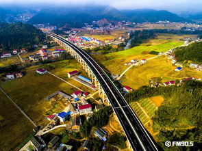 那个该死的ctrip.com广告