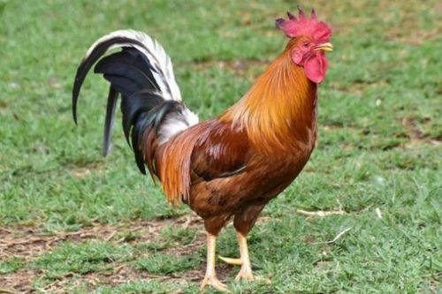 性格碰撞堪比火星撞地球