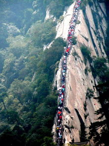 苍龙岭惊魂记