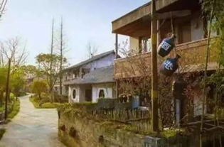 三、 旅游？不如回家睡觉