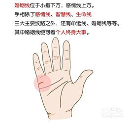 婚姻线与感情线的“奇妙”结合（别认真！）