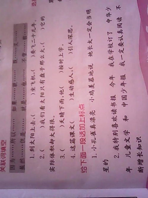 吃四方饭的生肖是什么成生肖的？