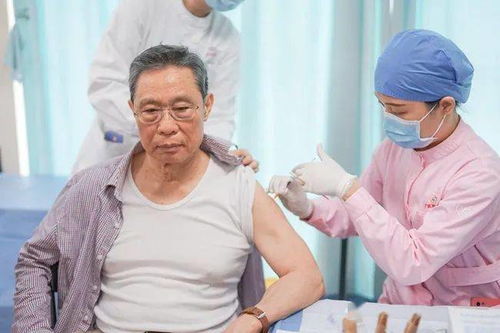 黄炎热病到底有更多可怕？别再不当回事啦！