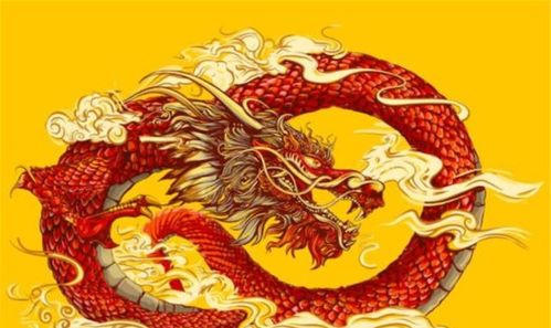 11月11日和11月30日属龙运势详解分别是什么？