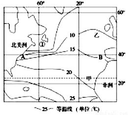 三尺童子指的是哪个生肖？
