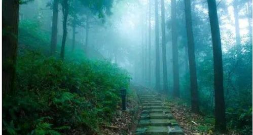 暑虚假必去的旅行胜地，你get到了吗？