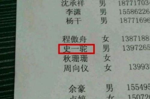 前言：凌氏宝宝缺金， 父母的焦虑与期待交织成一张乱麻