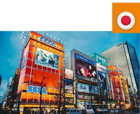 四、文化差异深度对比（随手写的碎碎念）