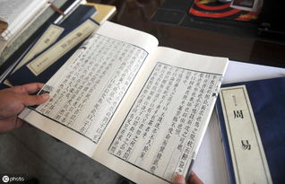 第一类：装可爱的小白兔型