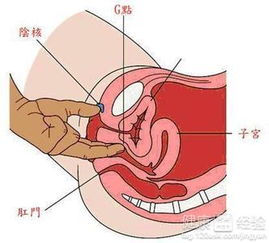 女人八字中缺阴意味着什么？有什么具体影响？