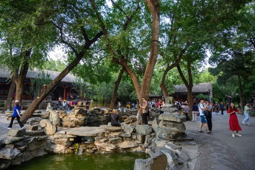 八、  恭王府：王府文雅的代表