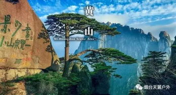 与远方亲友共享：记录下这份美好（或者只是炫耀）