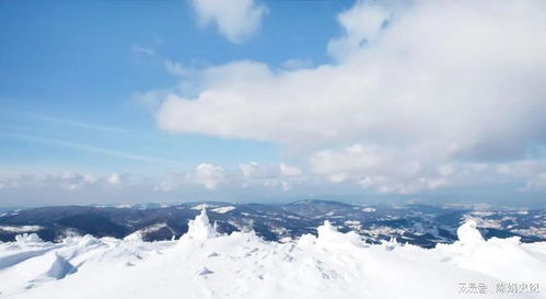 冰天雪地属什么生肖？雪猜一个数字是什么生肖暗示？