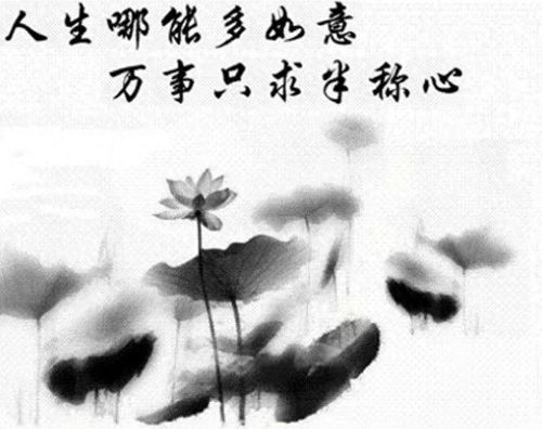 梅妃的智慧