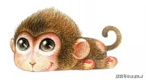 健康问题？笑死！