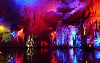 住宿：与虫共舞的