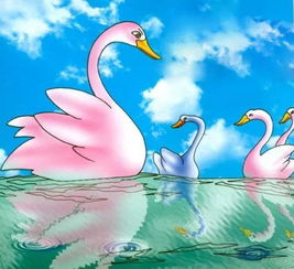 生肖相冲，鸡飞鸭叫