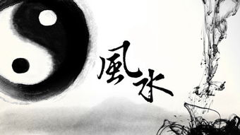 如何通过风水如静改善生活空间，提升居住品质？