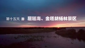 2. 牛年：勤劳朴实脚踏实地