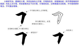 为什么要“也”字？这背后藏着什么玄机？