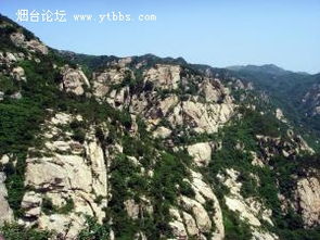 当地特色：体验罗山的独特魅力 (也就是吃吃喝喝)