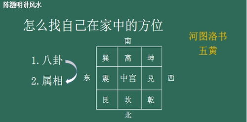 生肖与星座风水：解锁不同年龄段的金矿密码