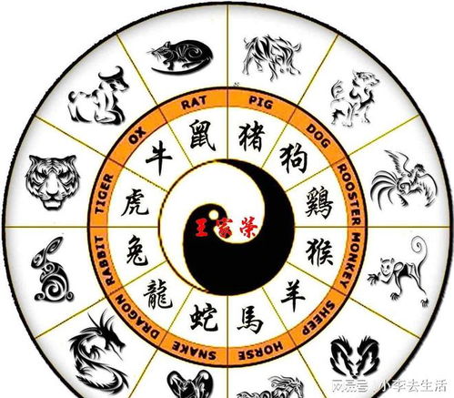2024年正月初十及2026年十二生肖运势具体内容是什么？