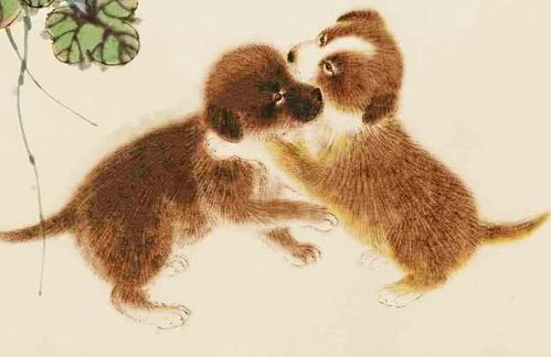 2. 属虎男