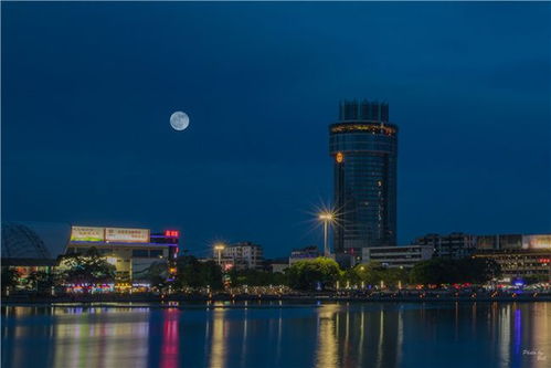 杏林湖公园：夜色中的诗与远方