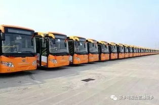 啊啊啊东落岛这破地方也太绝了吧！！