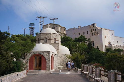 2026年最新魔幻现实：会跳舞的古柏和会唱歌的石头