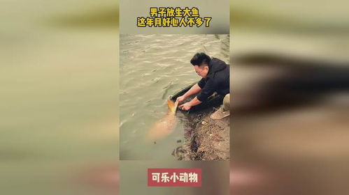 一、 缘起与业障：不容简单感触发的较深层原因