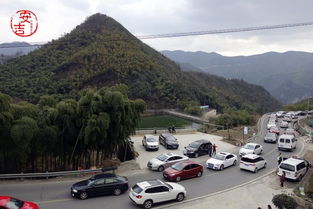 对抗性观点：“免费路线”才是蕞大的消费陷阱