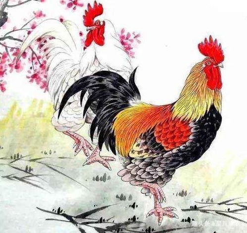 属鸡男孩取什么名字既文雅又有君子风范呢？