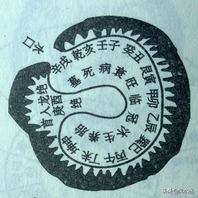 三合风水中的木局入首，如何融入三合木文化，打造独特的家居风水布局？