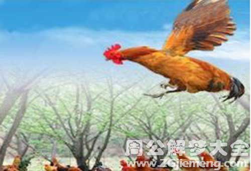 梦见飞起来预示着什么吉凶？