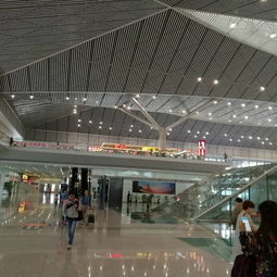 美食诱惑：肚子咕咕叫怎么办？