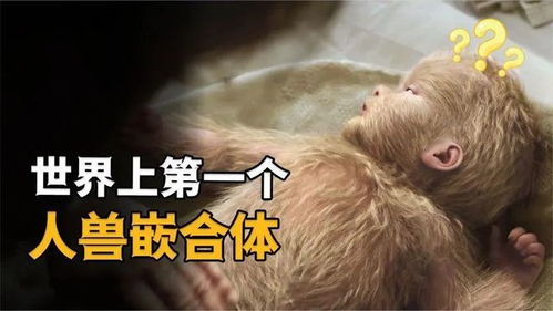 你能想象吗？当前这个世界上竟然存在如此较长尾的关键词？