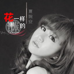 夜晚的徘徊