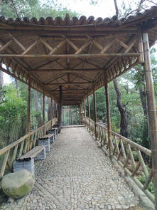 渝中区秘密基地：天台养猪场改建的星空房