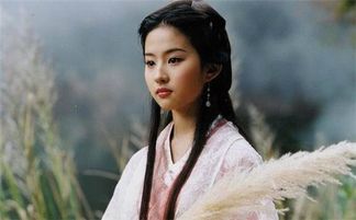 如花之容：外在光环下的底蕴