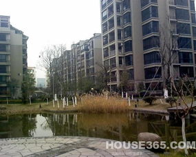 临江花园风水不好,临江花园位置