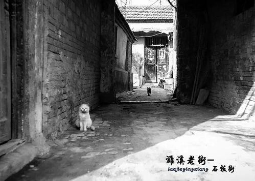 时光倒流之旅