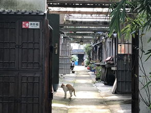 2.4 张石铭旧宅——江南园林里的隐形宝藏